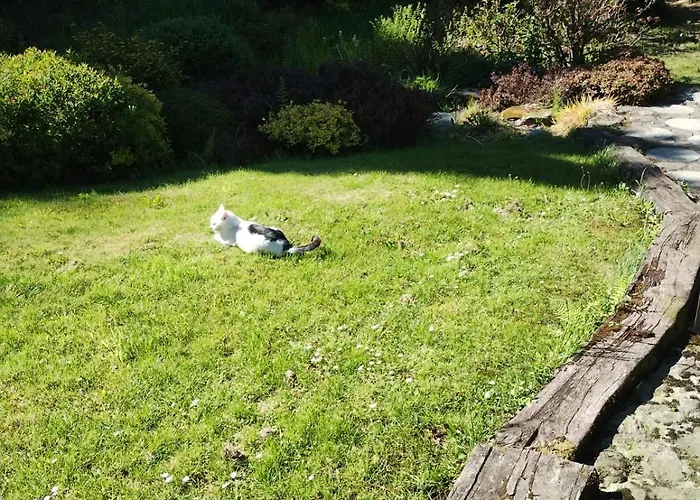 Chalet U Joli Jugowice